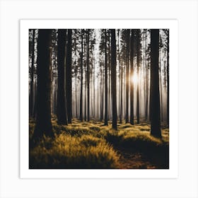 Sunrise In The Forest Art Print