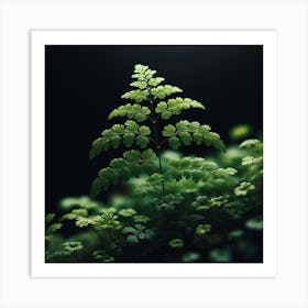 Fern Leaf Art Print