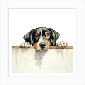 Bernese Mountain Dog 6 Art Print