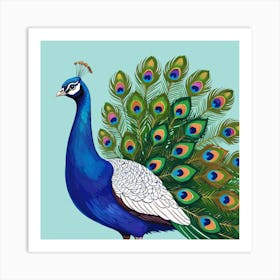 Peacock 7 Art Print