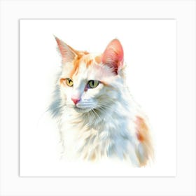 Turkish Van Cat Portrait 2 Art Print