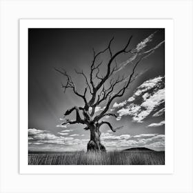 Dead Tree Art Print