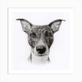 Dog Portrait 2 Art Print