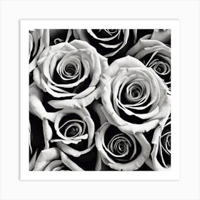 Black And White Roses 25 Art Print