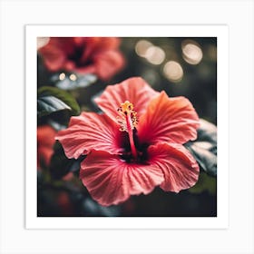 Hibiscus Flower 1 Art Print