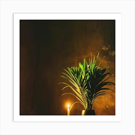 Candle And Plant Art Print