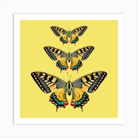 Three Swallowtail Butterflies Art Print