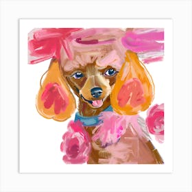 Poodle 04 Art Print