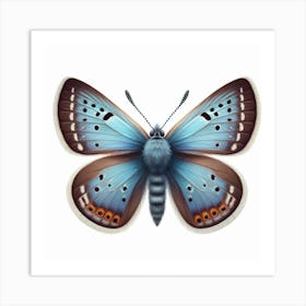 Butterfly of Scolitantides bavius 1 Art Print