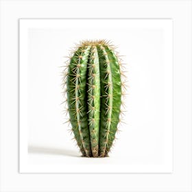 Cactus 1 Art Print