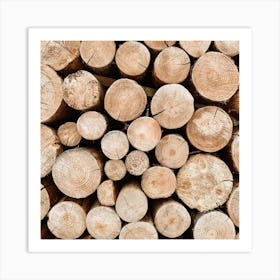 Wood Pile Firewood Square Art Print