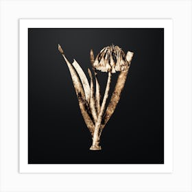 Gold Botanical Knysna Lily on Wrought Iron Black n.2557 Art Print