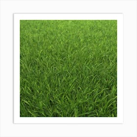 Green Grass 53 Art Print