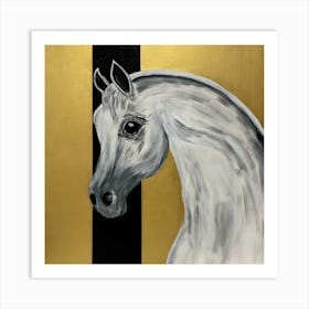 Arabian Horse Art Print