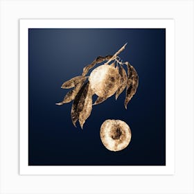 Gold Botanical Peach on Midnight Navy n.1605 Art Print