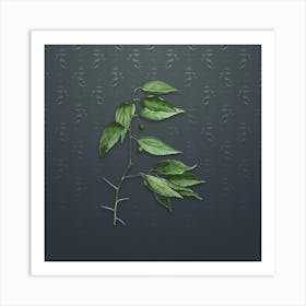 Vintage European Nettle Tree Botanical on Slate Gray Pattern n.0097 Art Print