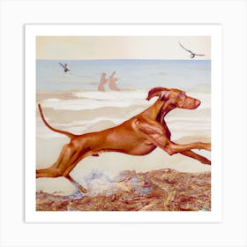 Dog On The Beach Art Print