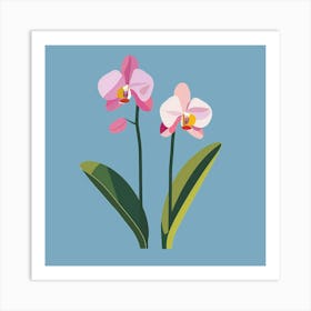 Pink Orchids 1 Art Print