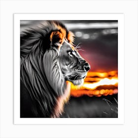 Sunset Lion 2 Art Print