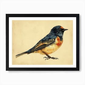 Calligraphic Wonders: Robin Art Print