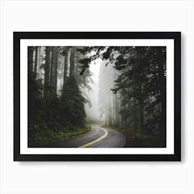 Pacific Northwest Forest Road Dreams Art Print