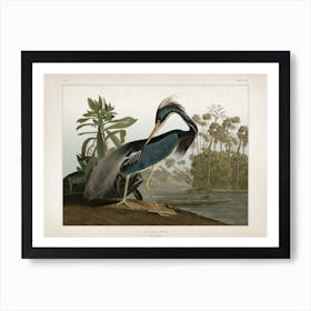 Vintage Audubon 2 Great Louisiana Heron Art Print