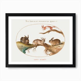 A Hare, Jackalope, A Rabbit, And A Spotted Squirrel (1575–1580), Joris Hoefnagel Art Print