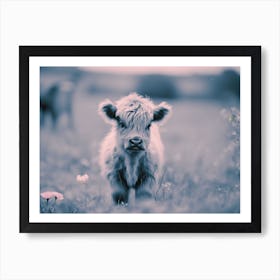 Highland Calf 1 Art Print