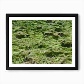 Oceanside Field Art Print