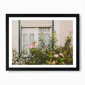 Hibiscus By The Window Art Print