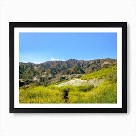 Mountain Meadow Art Print