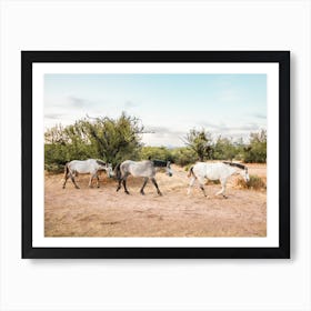 Ariozna Wild Horses Art Print