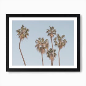 Palm Trees At Beach Art Print