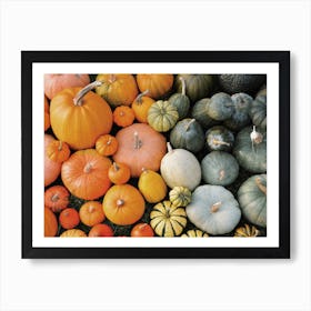 Pumpkins And Squash Art Print