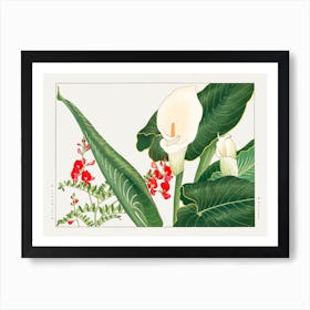 Lathyrus & Calla Lily Flower, Japanese Woodblock Art Print