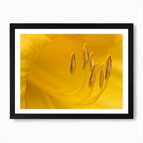 Yellow Lily Macro Photography 1 Art Print