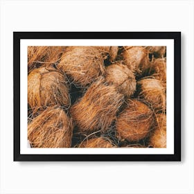 Coconut Harvest Art Print