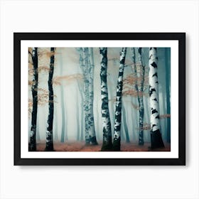 Birch Forest 55 Art Print