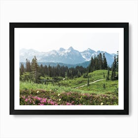 Mount Rainier Summer Wildflower Adventures Art Print