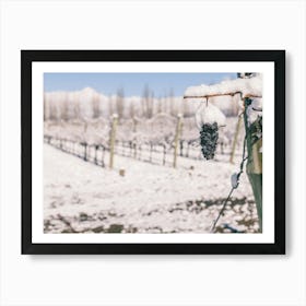 Unitltled 02 - Snow in the Vineyard Series Art Print