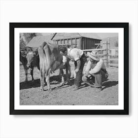 Fsa (Farm Security Administration) Supervisor Explaining The Fine Points Of A Cow, Box Elder County, Utah By Russe Art Print