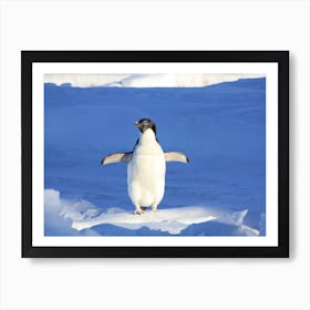 Penguin In Antarctica Art Print