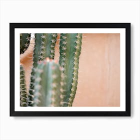 Botanical Pastel Marrakech Art Print