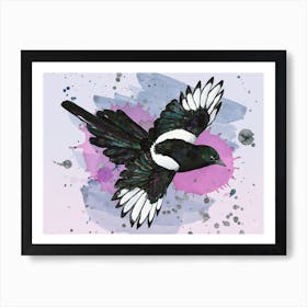 A watercolor drawing of a flying magpie Art Print