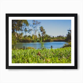 Closeup Of Green Grass In Park With Blurry Background Of A Pond And Trees 1 Art Print