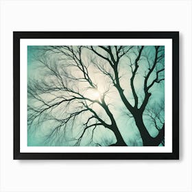 Silhouette Of Bare Tree Branches Against A Turquoise Sky With The Sun Shining Through Art Print