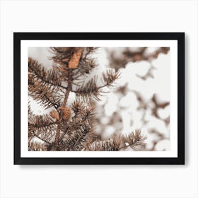 Snowy Winter Branch Art Print