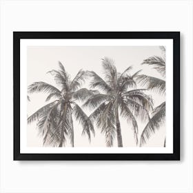 Palm Trees Along Ocean Art Print