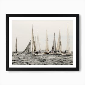 Sailboat Regatta Art Print