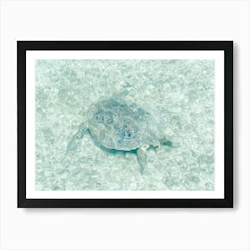 Turtle In The Sea Close To Borneo Art Print